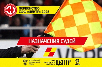 Рафаэль Шафеев рассудит кубковых бойцов